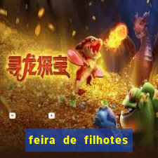 feira de filhotes porto alegre